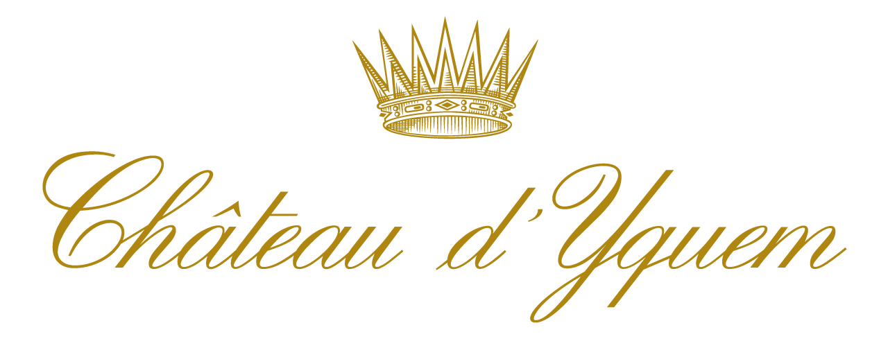 CHÂTEAU D’YQUEM